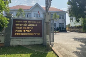 1 trưởng phòng tư pháp huyện bị cách chức vì trộm hoa giấy
