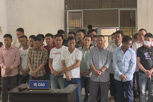 Đắk Lắk: 28 người dùng cưa xăng phá hàng chục ha rừng lãnh án