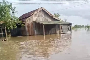 Đắk Lắk, Đắk Nông thiệt hại hơn 400 tỉ đồng do mưa, lũ