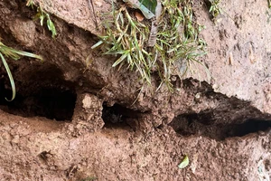 Thông tin mới nhất vụ sụt lún tại 2 địa bàn của tỉnh Đắk Nông