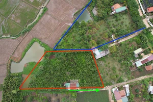 Bị hủy kèo mua bán đất vì hàng xóm bỗng nhiên tranh chấp lối đi không có thực