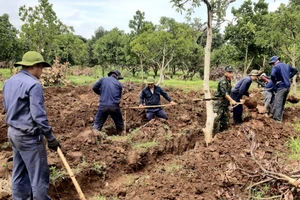 Đắk Lắk: Phát hiện 2 hài cốt liệt sĩ chưa rõ danh tính ở huyện biên giới Ea Súp