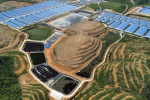 1 trại heo ở Đắk Nông bị xử phạt vì xả thải làm cá chết