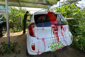 Khởi tố vụ án để điều tra vụ xe PV báo Tuổi Trẻ bị tạt sơn