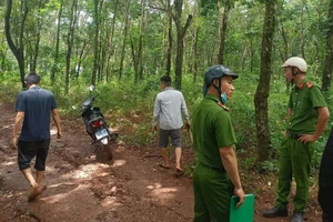 Cảnh báo tình trạng dùng kích điện bắt giun đất bán sang Trung Quốc