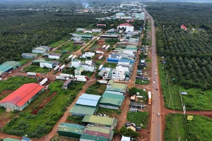 Cựu chủ tịch huyện bị phạt vì xây nhà kho trên đất nông nghiệp