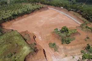 Hàng ngàn m2 đất rừng bị mất do bạt đồi khai thác đất trái phép