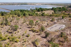 Đắk Lắk cho 5 doanh nghiệp thuê hơn 2.200 ha rừng