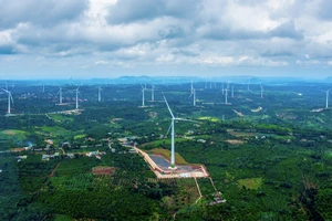 Đắk Lắk: Hạn chế các dự án sử dụng nhiều tài nguyên đất, rừng làm ảnh hưởng môi trường