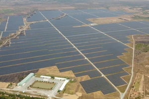 Không xử lý hành vi trốn thuế của một doanh nghiệp