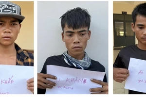 Bắt nhóm thanh niên hiếp dâm 2 cô gái trong rẫy vắng