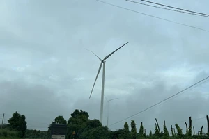 Đắk Nông cung cấp hồ sơ các dự án điện gió cho Ủy ban Kiểm tra Trung ương