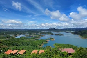 Điều chuyển giám đốc văn phòng đăng ký đất đai khi đang bị thanh tra