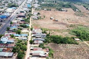Đắk Lắk: Khu đô thị thành nơi nuôi bò sau 5 năm chọn nhà đầu tư