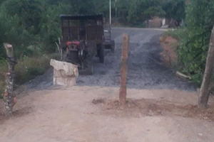 Giáo viên tập trung phản đối khai thác cát sẽ bị xử lý 