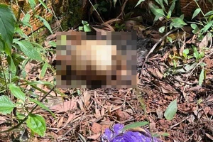 Phát hiện 2 thi thể đã phân hủy ở gần khu nghĩa trang 