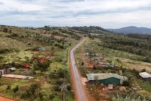 Cưỡng chế 15 hộ dân lấn chiếm đất cụm công nghiệp ở Đắk Nông