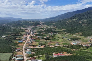 Hơn 2.700 người dân Lâm Đồng sinh sống, sản xuất trên đất ở tỉnh Đắk Nông