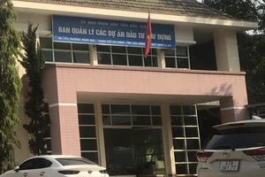 Đắk Nông: Buộc thôi việc Phó Giám đốc Ban quản lý dự án dùng bằng không hợp pháp 