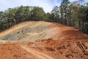 HĐND Đắk Lắk đồng ý chuyển đổi hơn 155 ha rừng để làm 2 dự án