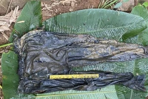 Tìm thân nhân thi thể 1 phụ nữ đã phân hủy, tử vong khoảng 2 đến 4 tháng trước