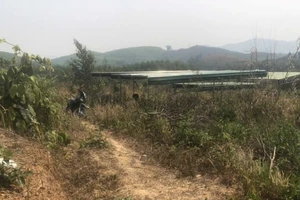 Nam thanh niên tử vong trong tư thế treo cổ, 2 chân quỳ xuống đất