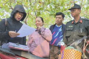 Đắk Lắk: 1 doanh nghiệp làm dự án trồng rừng bị lấn chiếm gần 1.000 ha đất