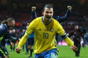 Ireland muốn 'cào mặt' Ibra