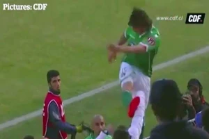 Tác giả cú kungfu như Cantona đối mặt 2 năm tù