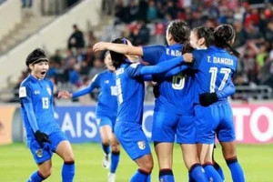 Đặt xe buýt trước ‘chuột túi’, có gì xấu hổ!