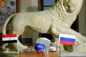 Mèo 'tiên tri' Achilles dự đoán Ai Cập ghi bàn nhưng Nga thắng