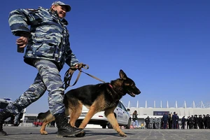 Rostov bị 'dọa' nổ bom hàng loạt mùa World Cup