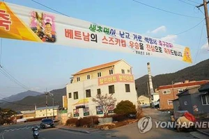 Quê thầy Park ở Hàn Quốc được tân trang thành ‘làng Việt Nam’