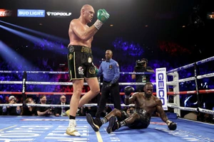 Wilder-Fury: Ngai vàng trả lại cho vua