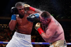 Tiếp xúc với thái tử Charles, tay đấm Joshua tự cách ly