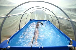 Muôn kiểu tập luyện tại gia trong dịch COVID-19