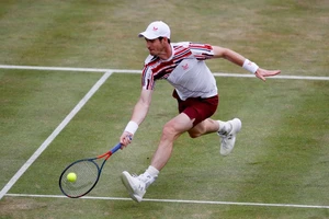 'Đại gia' rút gần hết, Murray mơ cú ăn ba