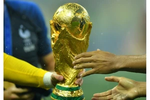 Đông Nam Á ủng hộ tuyệt đối World Cup 2 năm/lần