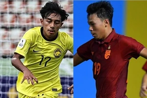 Voi và Hổ Đông Nam Á đối đầu 