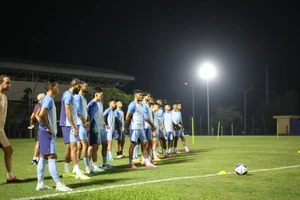 Hổ xanh Ấn Độ có thức giấc?