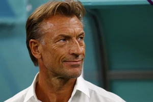 Cựu HLV Nam Định Herve Renard tìm cách “nắm cổ chuột túi”