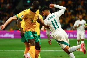 Tuyển Úc và Saudi Arabia dìm nhau, Bahrain và Indonesia được lợi