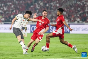 Đơn thư đòi công bằng “bay tới tấp” tới AFC và FIFA 