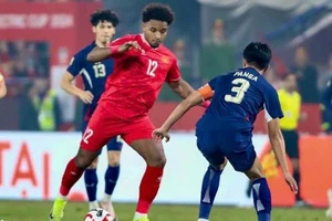 Giấc mơ World Cup của Đông Nam Á, trăm sự nhờ FIFA