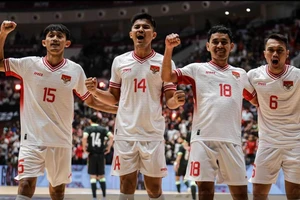 Cựu HLV U-20 Việt Nam tiếp tục đưa Indonesia... lên đỉnh