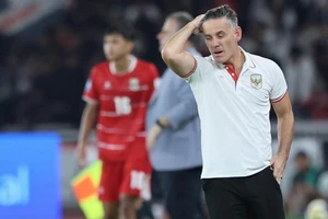 6 lần về nhì AFF Cup là quá đủ với tuyển Indonesia rồi