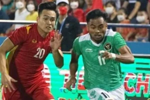 Indonesia tiếp tuyển Việt Nam với lực lượng này xem mới đã