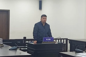 Giám đốc trốn thuế hơn 12 tỉ đồng lãnh 30 tháng tù treo