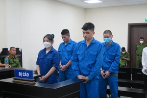 Giúp chú họ có người 'nối dõi tông đường', cháu trai lãnh án