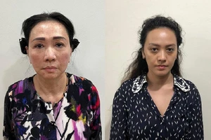 Cô cháu gái Trương Huệ Vân đã giúp sức cho bà Trương Mỹ Lan ra sao?